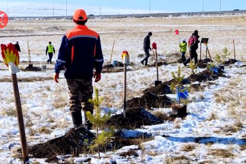 Cegah penggurunan, Mongolia tanam 10 juta pohon