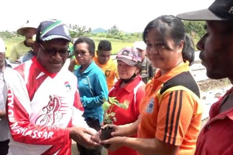 Tekan inflasi, Pemkot Jayapura canangkan gerakan tanam cabai