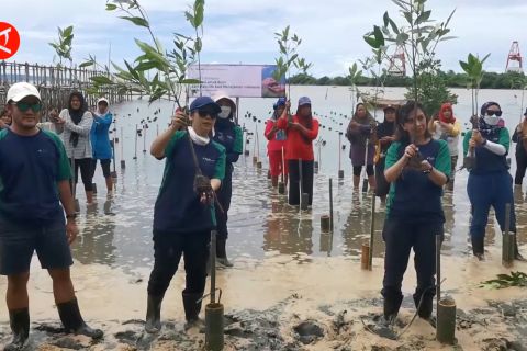 Tanam 1.000 pohon, masyarakat diajak investasi untuk bumi