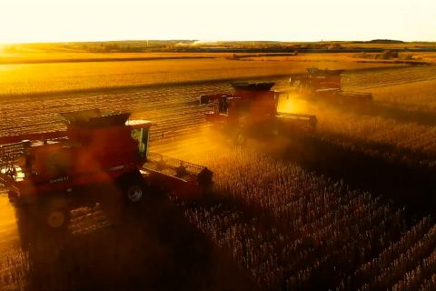 Upaya petani lestarikan tanah hitam di China timur laut