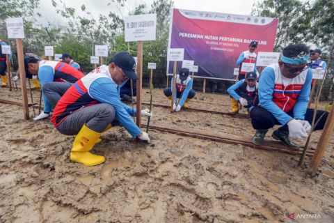 Peresmian Hutan Pertamina Badak LNG
