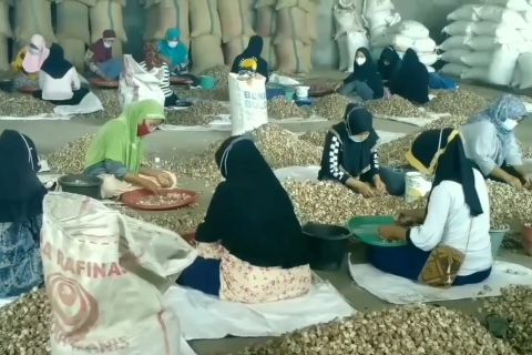 Disnakertrans sebut jumlah pengangguran di Jambi turun