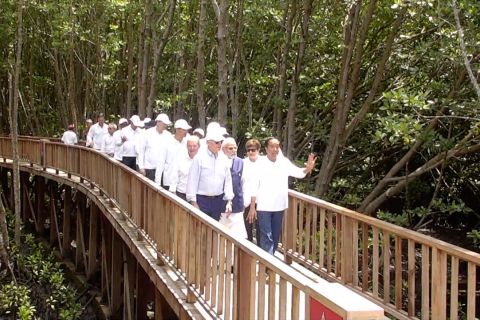 Indonesia Bergerak - Komitmen Indonesia kurangi karbon global - 3