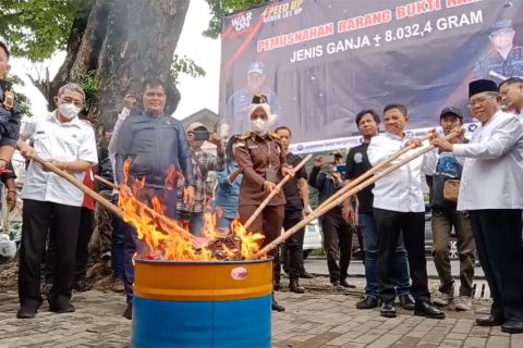 BNN Kota Tangerang musnahkan ganja seberat 8 kg