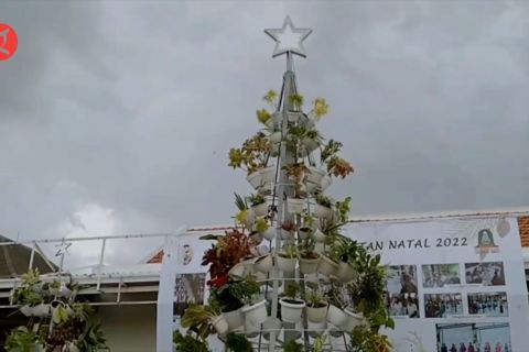 Ciptakan suka cita Natal dengan bahan daur ulang dan tanaman hias