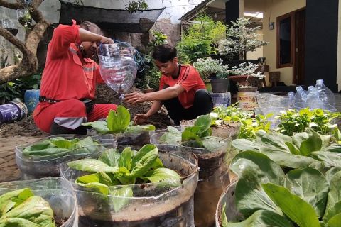 Kampanye cinta lingkungan dengan menyulap botol bekas jadi pot sayur