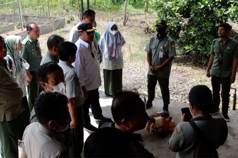 Kementan gelar fungsi pengawasan komoditas perkebunan di Kalbar