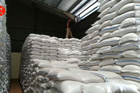 Melihat stok beras yang tersimpan di Gudang Bulog Kandeman, Batang