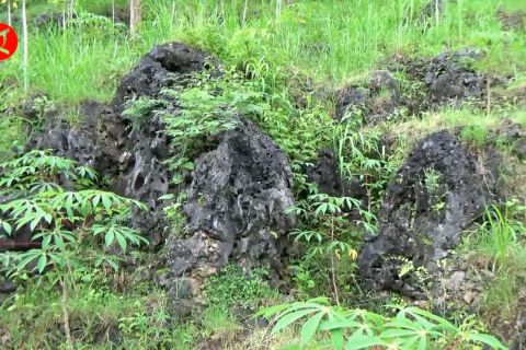 Pakar Karst tolak usulan pengurangan KBAK di Gunungkidul