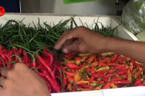 Sejumlah komoditas alami kenaikan harga di Kota Tangerang