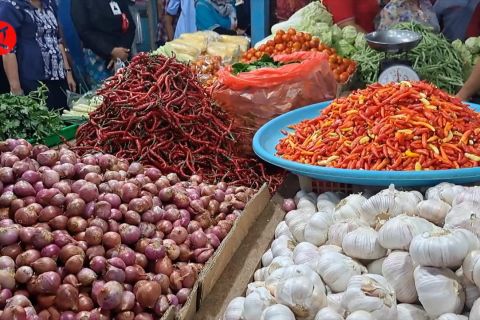 TPID Kota Jayapura sidak ketersediaan bapok jelang Natal