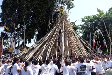 Tradisi Mekotek saat Hari Raya Kuningan di Bali