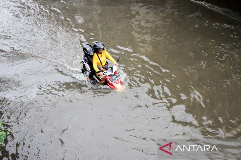 Banjir merendam desa Kureksari di Sidoarjo