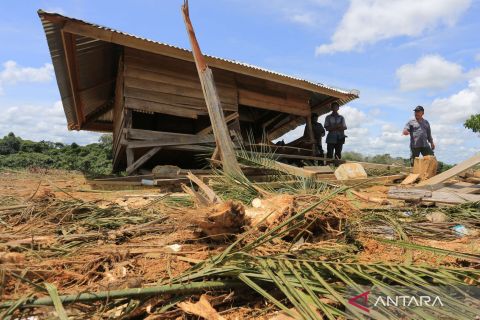 Rumah kebun di Aceh Barat dirusak kawanan gajah liar
