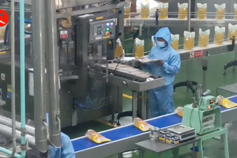 Apindo diminta datangkan investor industri padat karya di Cilegon