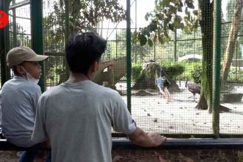 Hari pertama 2023, Ragunan dikunjungi lebih dari 78 ribu orang