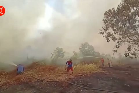  La Nina melemah sebabkan potensi karhutla di Sumatra tinggi