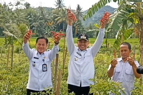 Mempersiapkan Kecamatan Purwakarta jadi kawasan wisata pertanian