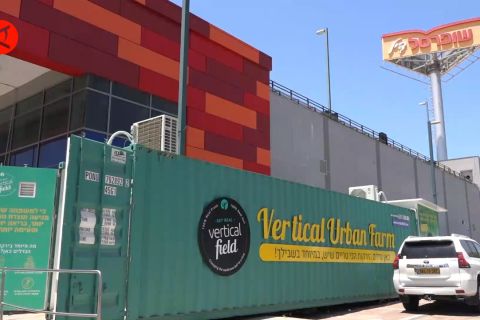 Menilik kebun vertikal di toko swalayan Israel