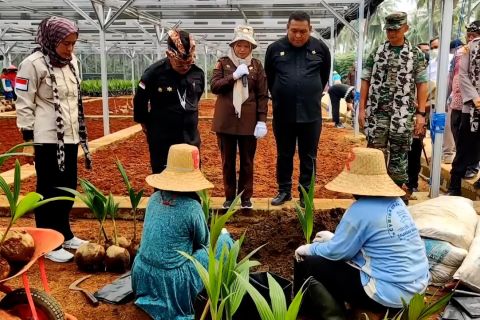 Mentan ingin kembalikan Indonesia sebagai negara nyiur melambai