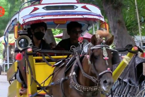 Mempersiapkan pengganti cidomo sebagai alat transportasi di Gili
