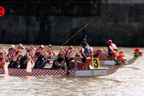Sambut Imlek, balap perahu naga digelar di Argentina