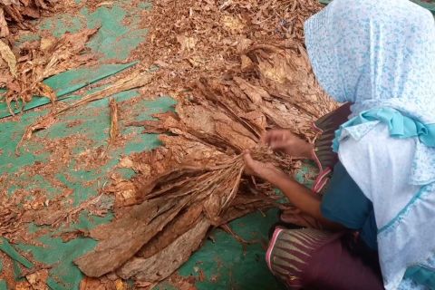 Tinjau lapangan, BAKN DPR RI dorong DBHCHT demi kelangsungan industri