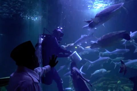 Wagub Jabar dukung Pangandaran jadi destinasi wisata internasional