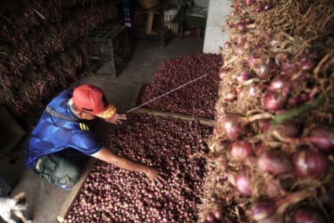 Kenaikan Harga Bawang Merah