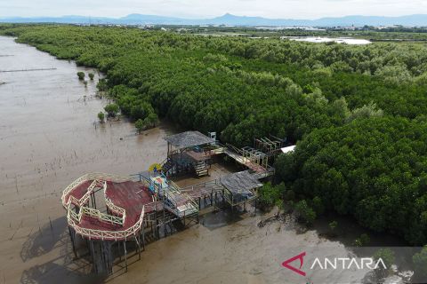 Kawasan konservasi laut Indonesia ditarget bisa meluas