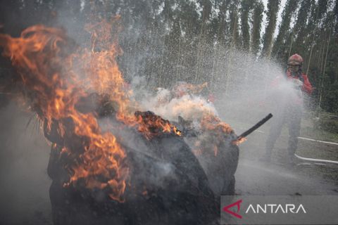 Penanganan ancaman kebakaran hutan dan lahan di OKI