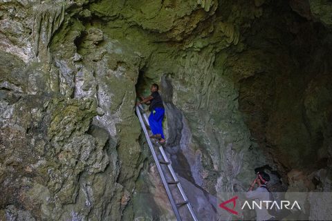 Peneliti pantau cagar budaya Bulu Sipong 1