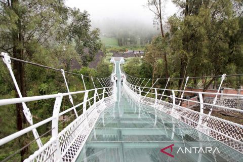 Jembatan gantung kaca sepanjang 120 meter di Bromo