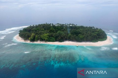 Kawasan konservasi pulau Bando
