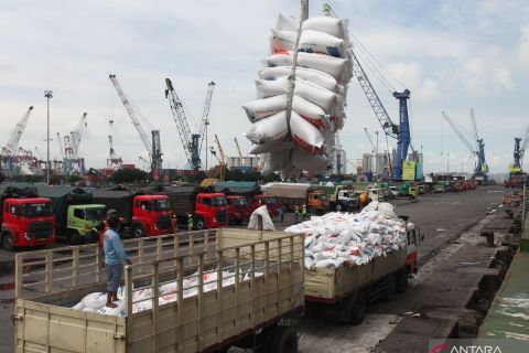 Bongkar muat beras di Pelabuhan Tanjung Perak Surabaya