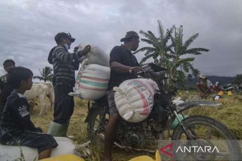 Kenaikan harga pembelian beras dan gabah