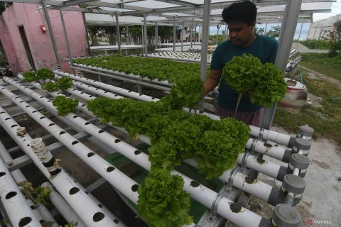 Mentan Dorong Anak Muda Terjun Ke Dunia Pertanian
