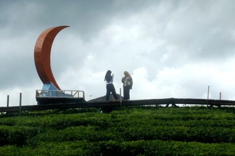 Berfoto dengan pemandangan cantik di kebun teh Gunung Gambir