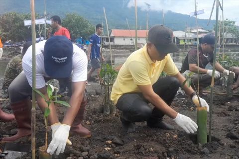 Cegah abrasi, PT Pertamina tanam mangrove di Pantai Ternate