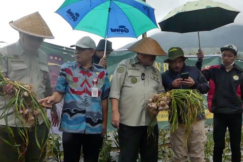 Kementan jamin stok bawang putih & merah aman hingga Lebaran