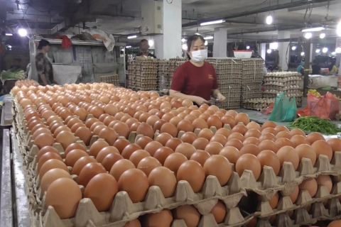 KPPU pantau harga barang dampak penyesuaian harga BBM non subsidi