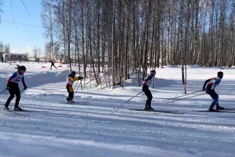 Rusia gelar ajang olahraga terbesar tahun ini