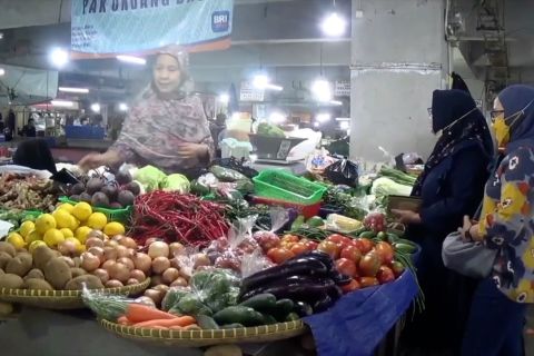 Sistem pertanian berkelanjutan untuk ciptakan transformasi pangan