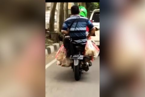 Viral kucing dijadikan bakso, ini faktanya