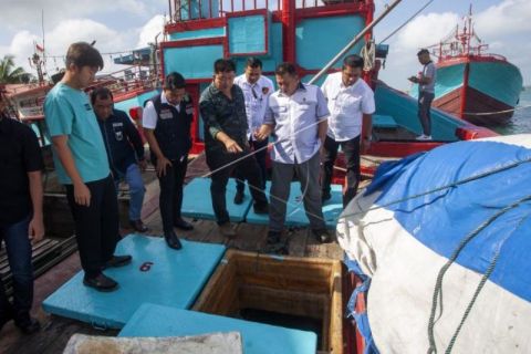 Sidak Stok Ikan Di Batam