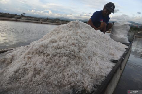 Kenaikan Harga Garam