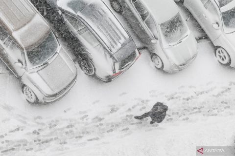 Salju turun saat musim semi di Ukraina