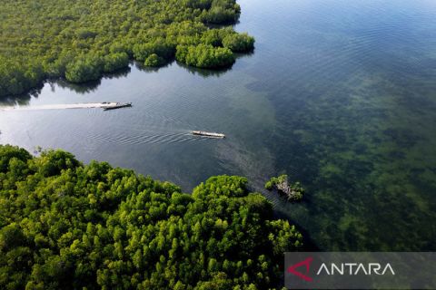Jasa ojek perahu Suku Bajau