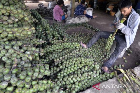 Penjualan kolang-kaling meningkat saat ramadhan
