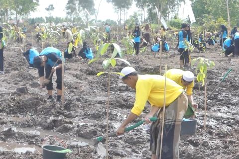 Peringati Hari Bakti Rimbawan, Pemprov Kalsel tanam 25 ribu pohon